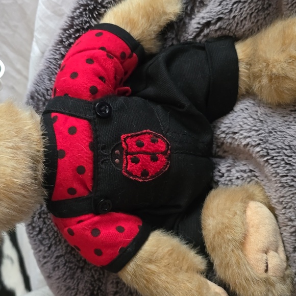 ❤️❤️BEARINGTON BEAR COLLECTION- ORIGINAL TAGS! - Picture 4 of 12